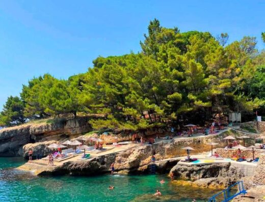 Hotel & Beach ALBATROS