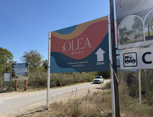 Olea beach